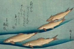 bluecrowcafe:  Utagawa Hiroshige, Woodblock print, Japan, 1833 