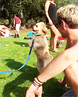 craicthatniall:  niall + shirtless 
