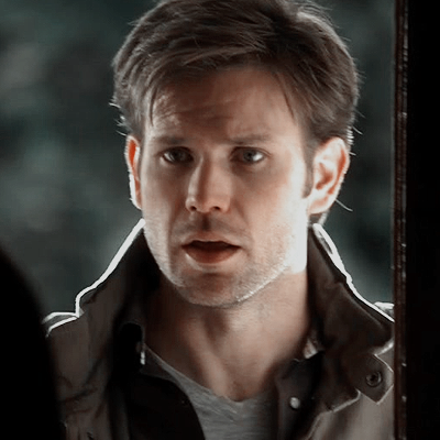 ✧Alaric Saltzman; icons✧  Vampire diaries, The vampire diaries