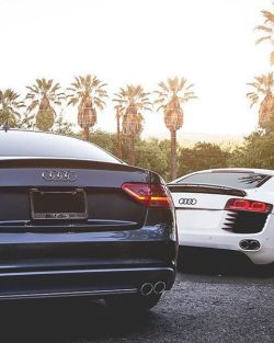 Audi Obsession