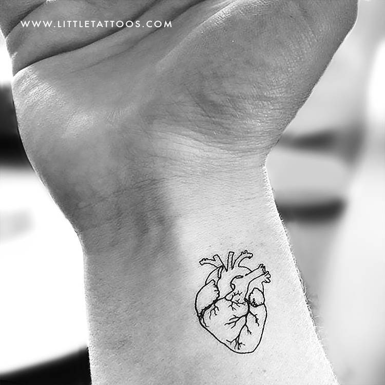 Tatuaje temporal de un corazón anatómico, cómpralo aquí ► https://bit.ly/3dxDqct