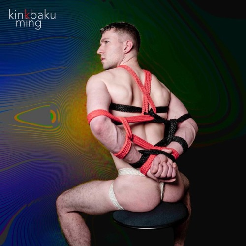 kinkbaku:⁣⁣ ⁣ HUMPDAY EVERYDAY⁣⁣ adult photos