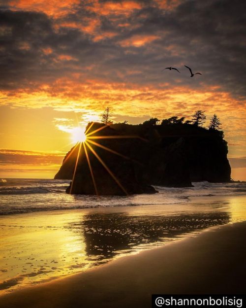 visitportangeles:  This beautiful #RubyBeach sunset captured by @shannonbolisig makes us SO excited for summer!   What are you most excited for during summertime? ☀️   #OlympicNationalPark #VisitPortAngeles https://instagr.am/p/CNTswlmLF4U/