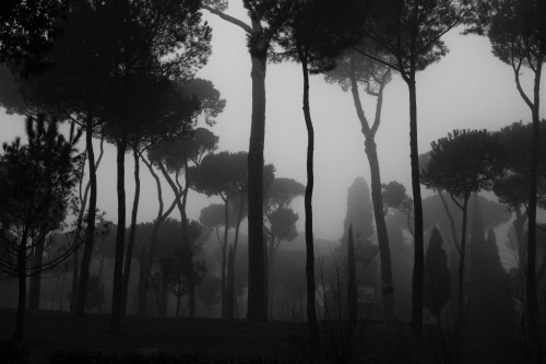 imickeyd:  kuplenko2:  Kuplenko2 Borghese Gardens Rome-2016 ©Kuplenko  