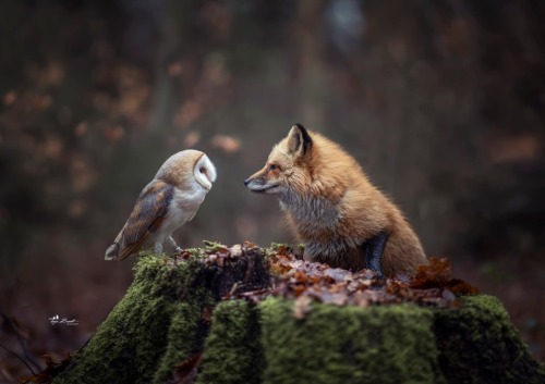 sweetd3lights:     © All rights reserved by  Tanja Brandt