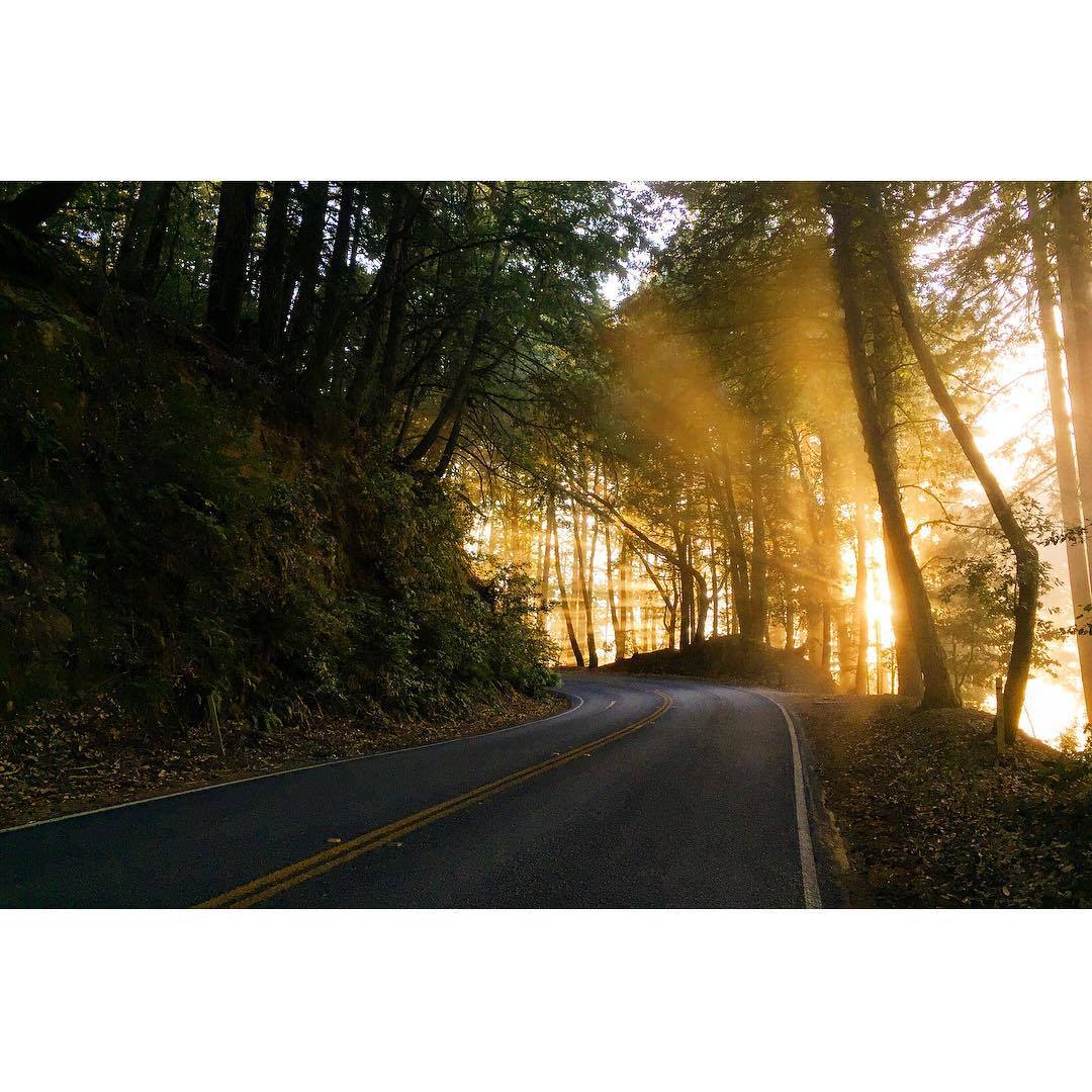 Last night’s ride. #roadslikethese (at Skyline Blvd)