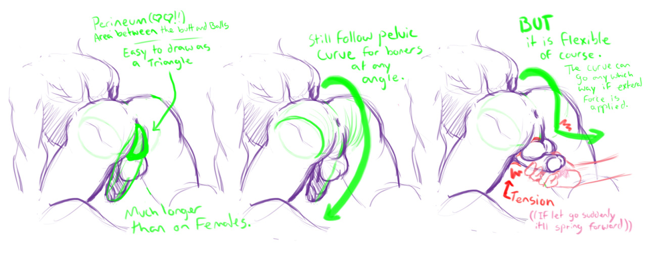 jumpingjackolantern:  manisoke:  A friend asked me if I had any pointers on drawing