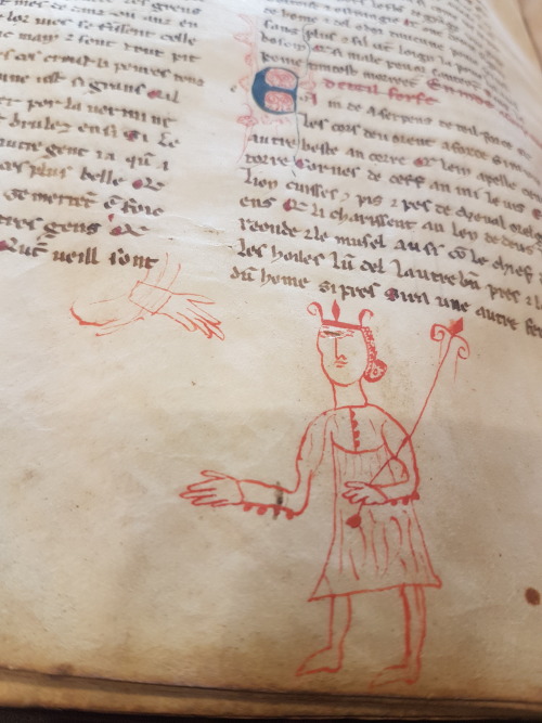 LJS 55 -L'image del monde &hellip; This manuscript is a copy of the version in verse of Gautier&rsqu