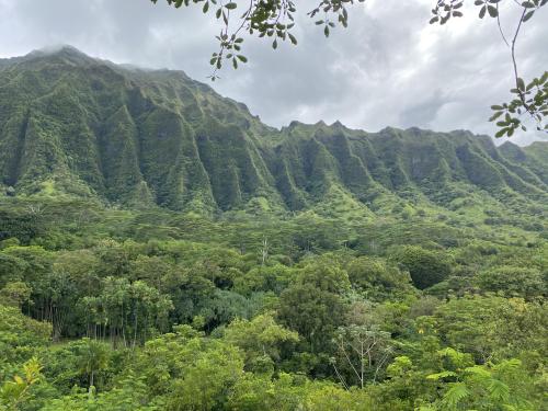 oneshotolive:  Moody Ko’olau mountains, Oahu, Hawaii [OC][4032x3024] 📷: Mrpetasus 