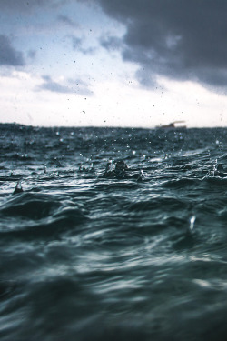 plasmatics-life:  Rain - {by Artem Nosov} | {Official WebSite}