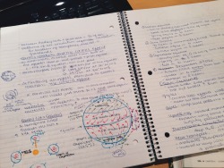 miuuuuuuu:  Apes notes looked nice!!! 