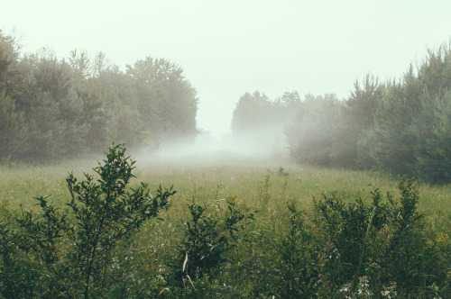 caseyngarner:  The Mist  6 / 11 / 2014  adult photos