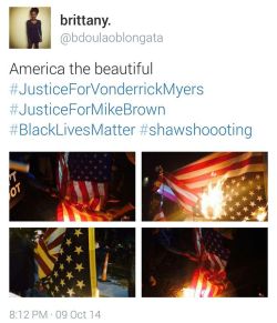 Land-Of-Propaganda:  Breaking News  Protesters Burn The American Flag In Honor Of