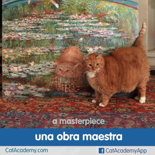 The standard praise you should sing to cats.http://is.gd/Cat_Spanish