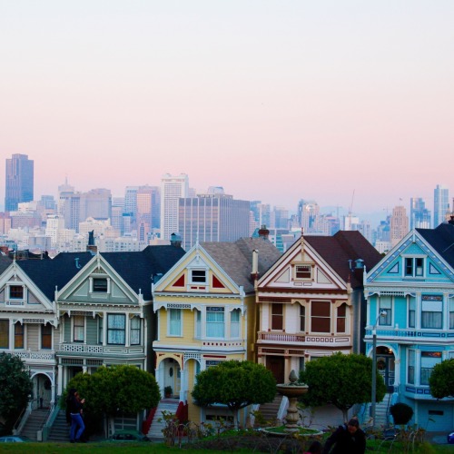 othmer:  Painted ladies, San Francisco, CA