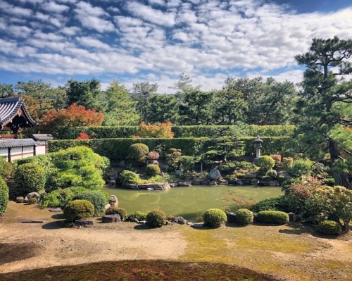＼おにわさん更新情報／ ‪[ 京都市東山区 ] 建仁寺久昌院庭園 Kennin-ji Temple Kyusho-in&rsquo;s Garden, Kyoto の写真・記事を更新しました。 ーー建