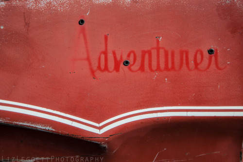 lizleggettphoto:  Like Cars and Bright Colours? Follow me for more adventures! xoxo Liz Leggett Photography 