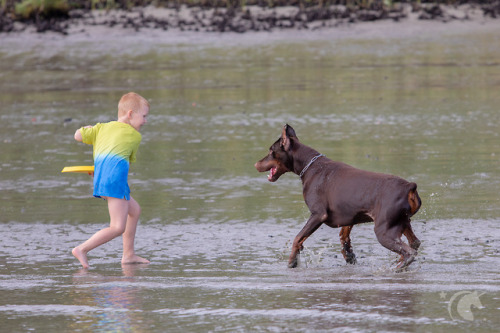 Doro, Luca und RomeroVor ein paar Monaten hab ich überlegt, was für Bilder mir so gefallen und was ich in diesem Jahr gern an neuen Dingen ausprobieren möchte. Es gibt ein paar Fotografen, die wunderschöne Kinder/Hundefotos machen… Meine Gedanken...