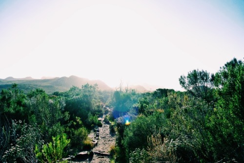 danielodowd:  life-of-ri