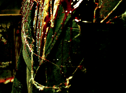 SAWdir. James Wan