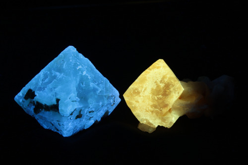  End members of the scheelite-powellite series.  Scheelite from Mt. Xuebaoding, China, and powellite