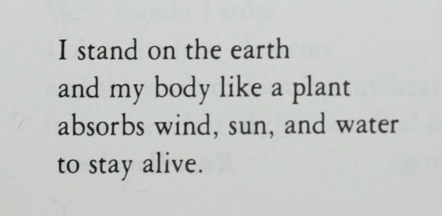 violentwavesofemotion:Forough Farrokhzad, from Another Birth: Selected Poems of F.
