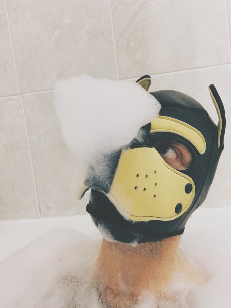 pupbustermackenzie:how do puppies have the most fun by themselves after a long day?