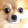 skiubun:  this is literally a gif of me and @sc00tysc00ty