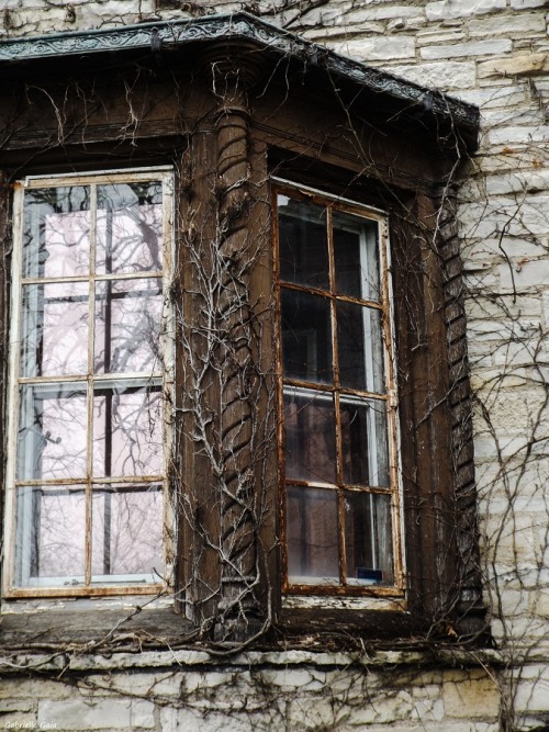 daughterofchaos:Harley Clarke Mansion in Evanston, IllinoisGabrielle Gaia on Flickr
