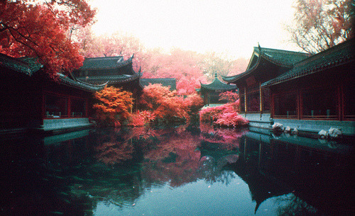 lehroi:  Kert Gartner &lsquo;Guozhuang Garden&rsquo;, 2012. 'Hangzhou Pathway&rsquo;,