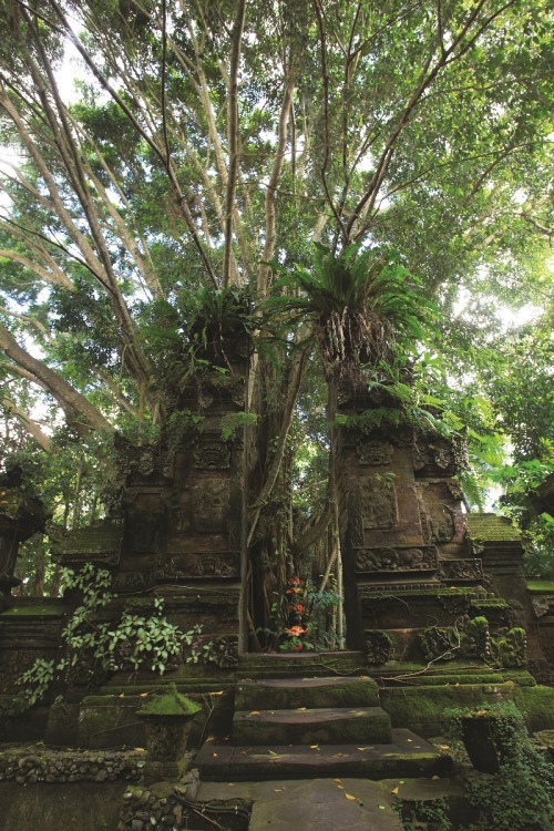 Spiritual Sanctuary at The SVARGA LOKA , Ubud - Bali