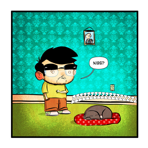 whosthewhatnow:He is wise beyond his dog years. We test out a few less dimensions in today’s ALL-NEW