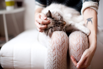 fotosfornovelas:  -Chicas con Gatos-Gatos