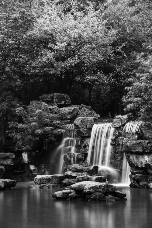 peonagabriel:Shufenwan Park, Hefei, China