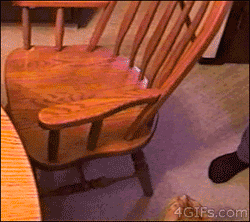 ☼ ☼ ☼ ☼ ☼ ☼ ☼ ☼