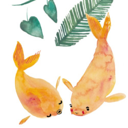 charlotte-mei:  Gold fish friends