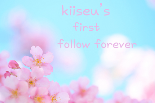 kiiseu:Hi guys!^^ So I’ve decided to make first follow forever for two reasons: first- because it’s 