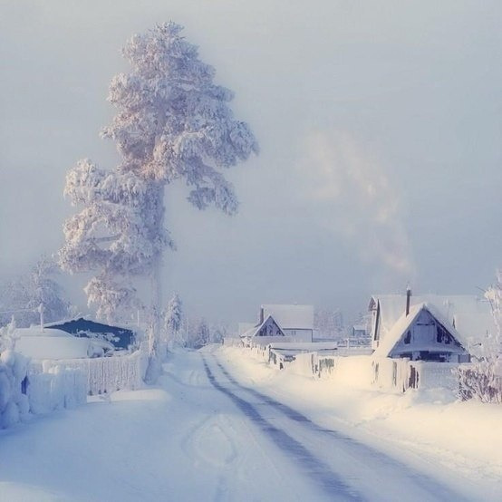 mamonna:  deathcomes4u:  drugspanda:  Very cold Russian winter. Where is my summer?