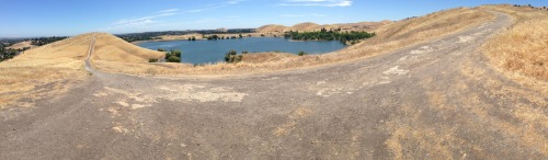 great-vibrations:  Went on a hike here is a spam of pics from it  Conta Loma, In Antioch?