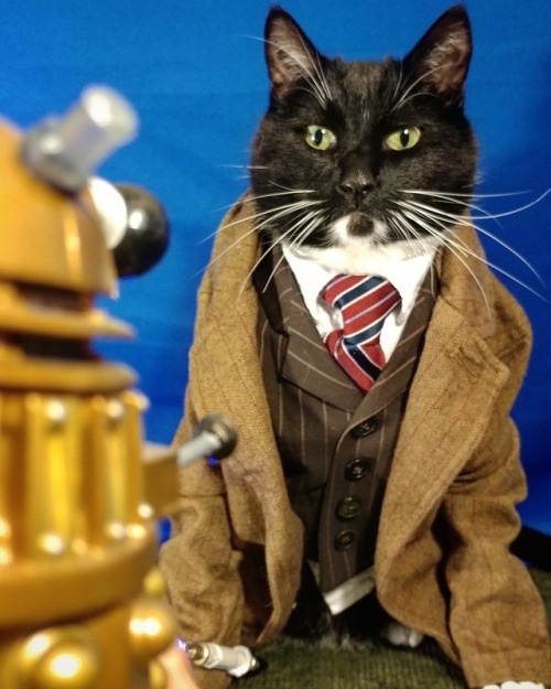 Porn cat-cosplay:“It is the Doctor! EX'PURR'MINATE! photos