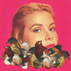 modernizor:  “Princess” by Modernizor. Based on a portrait of Grace Kelly on the cover of Modern Screen magazine, 1955. #princess #gracekelly #modernscreen #magazine #cover #collageart #digitalcollage #1955 #50s #artwork #birds #pink #picoftheday