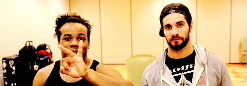 Rollins Daily
