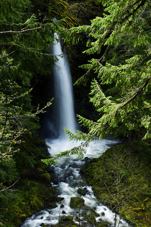 woodendreams:  (by Darrell Wyatt)
