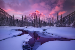 nubbsgalore: pretty in pink. photos by (clic pic) chip phillips and marc adamus. (see also: joe klamar) 