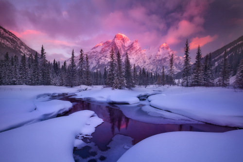 nubbsgalore: pretty in pink. photos by (clic pic) chip phillips and marc adamus. (see