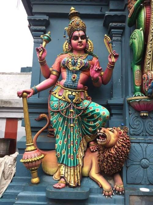 Goddess temple dwarapalaka (guardian)