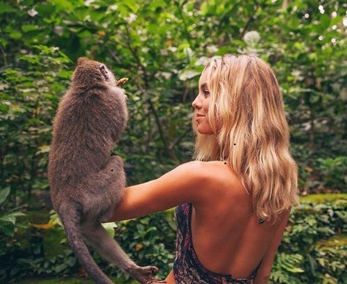 Protect and love the animals.