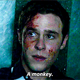 stevenrogered:  Fitz- is he okay? Please tell me he’s okay.  He’s alive. 