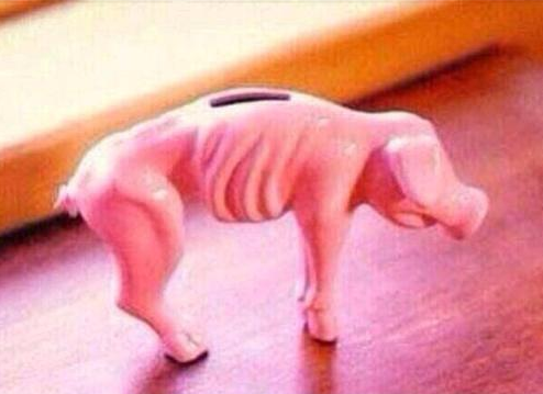sorelatable:  My piggy bank be like:  