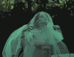 https://64.media.tumblr.com/53610068b5696cb15ba58b8b2639483e/tumblr_mvcc5wQVMB1sipqdjo1_500.gif